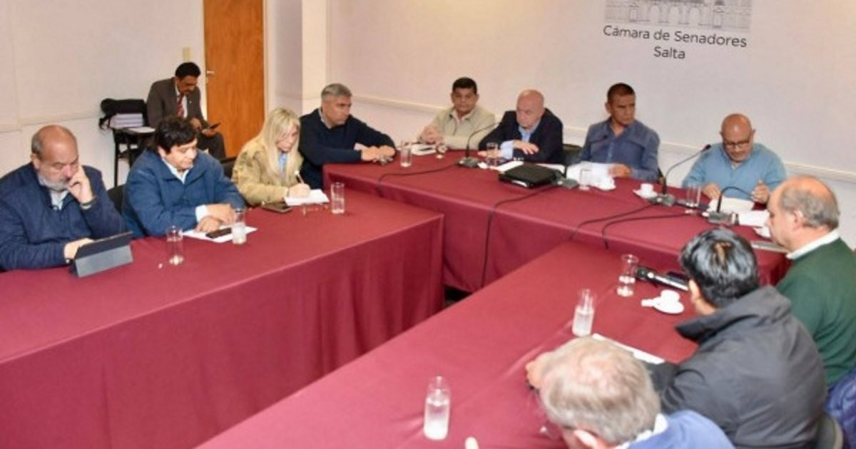 Salta busca evitar que la ley eléctrica desarme el cobro conjunto